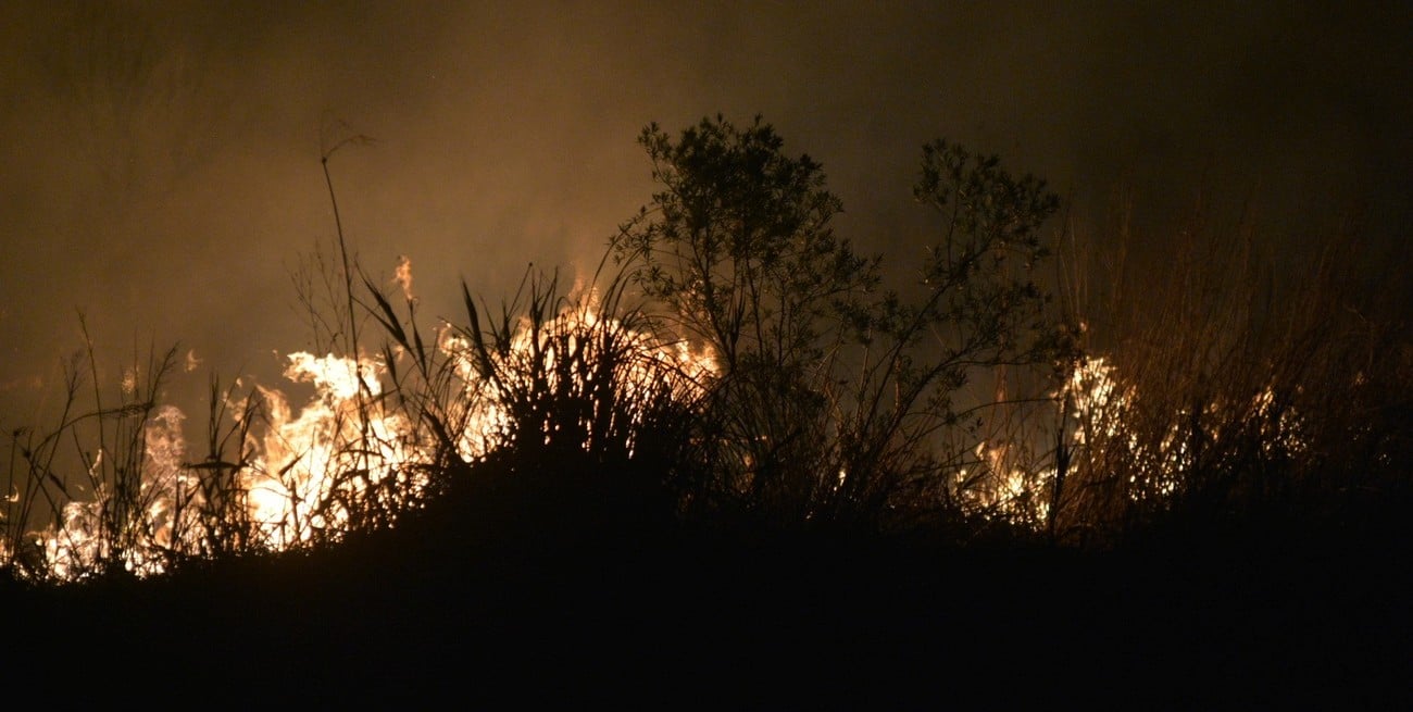 Video: fuego fuera de control a la vera de la ruta 168