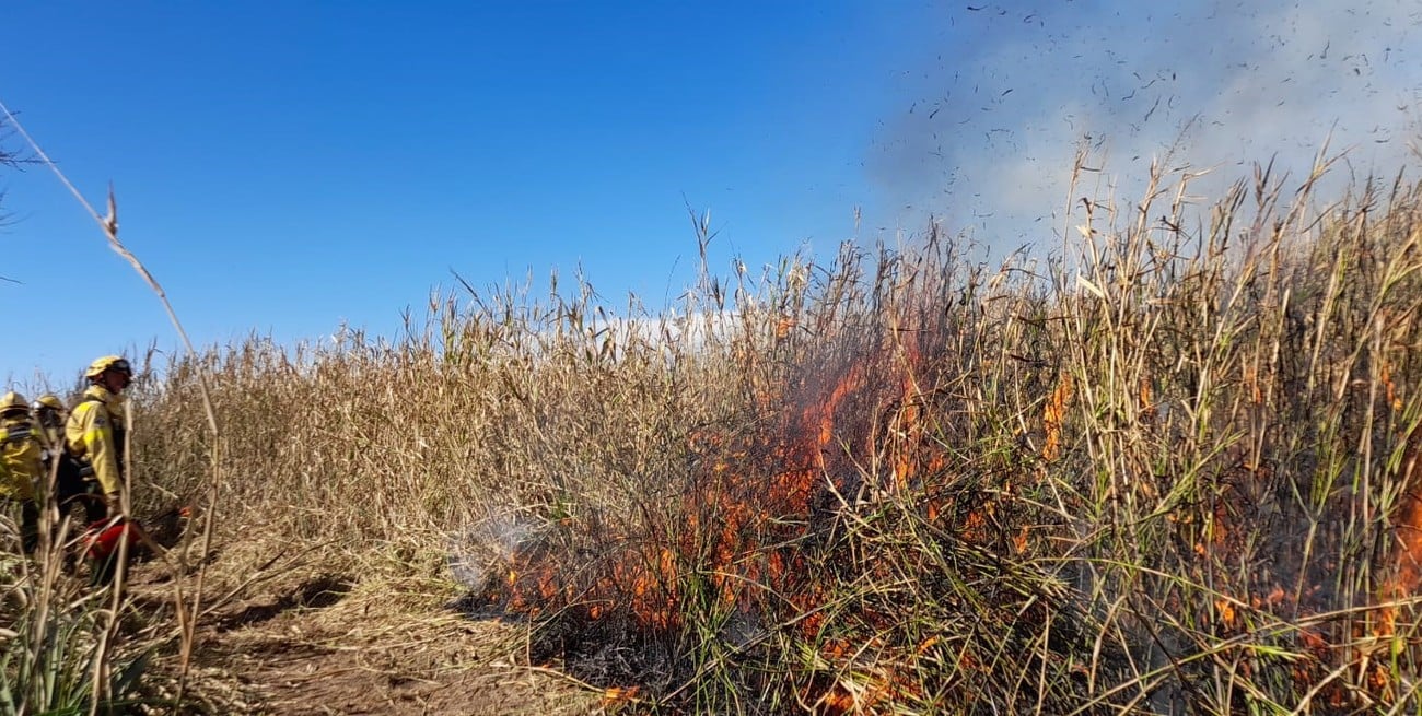 Delta: fuego controlado tras la intervención de 120 militares