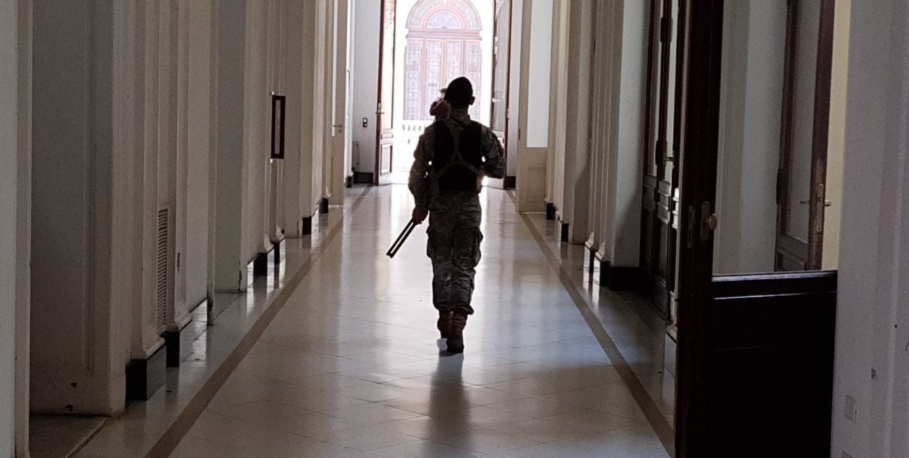 Casa Rosada: los Granaderos refuerzan la seguridad presidencial 