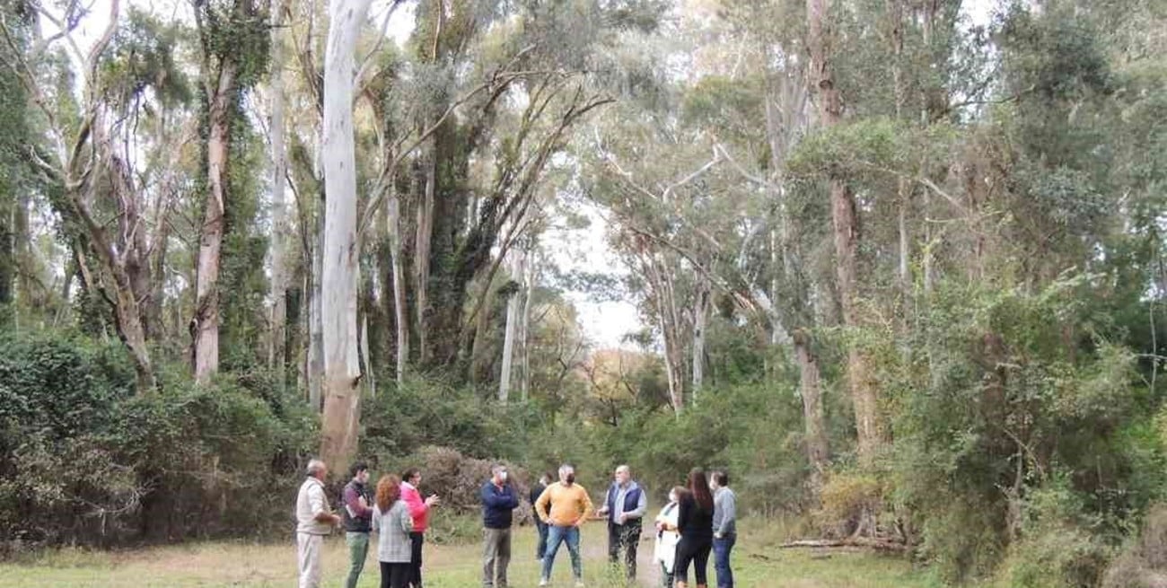 Dictarán cursos en el vivero de Santa Felicia