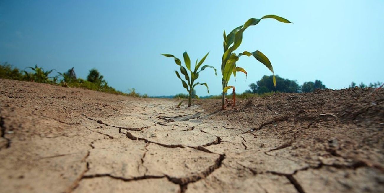 La sequía golpea duro: señalan que es el invierno más seco desde 1995 en el sur de Santa Fe