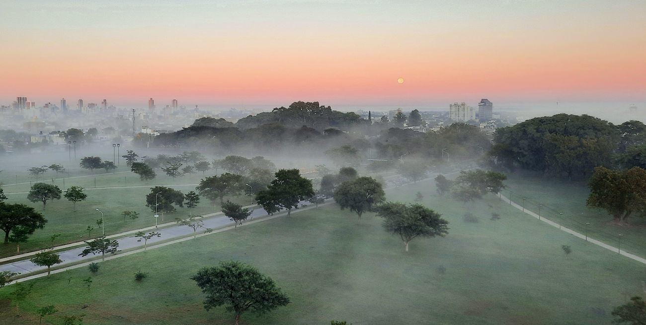 Conocé las mejores 20 fotos del Parque Federal 