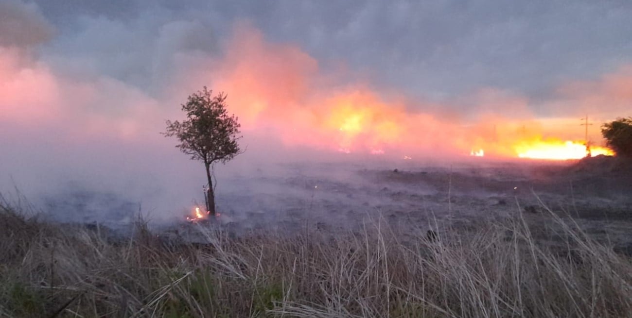 Incendios en las islas: la Justicia Federal entrerriana activó y procesa a siete personas

