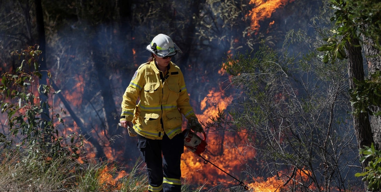 Seis provincias de Argentina con focos de incendios forestales activos