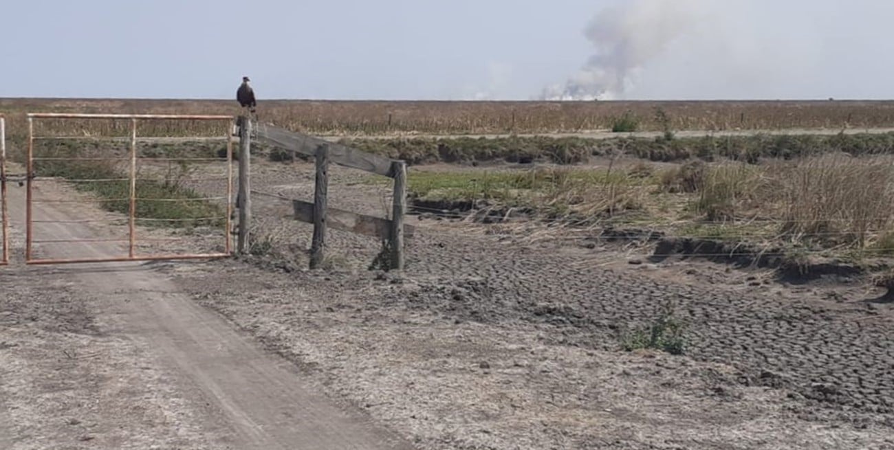 Carsfe pide un "esfuercito" a los productores para que hagan el trámite de emergencia