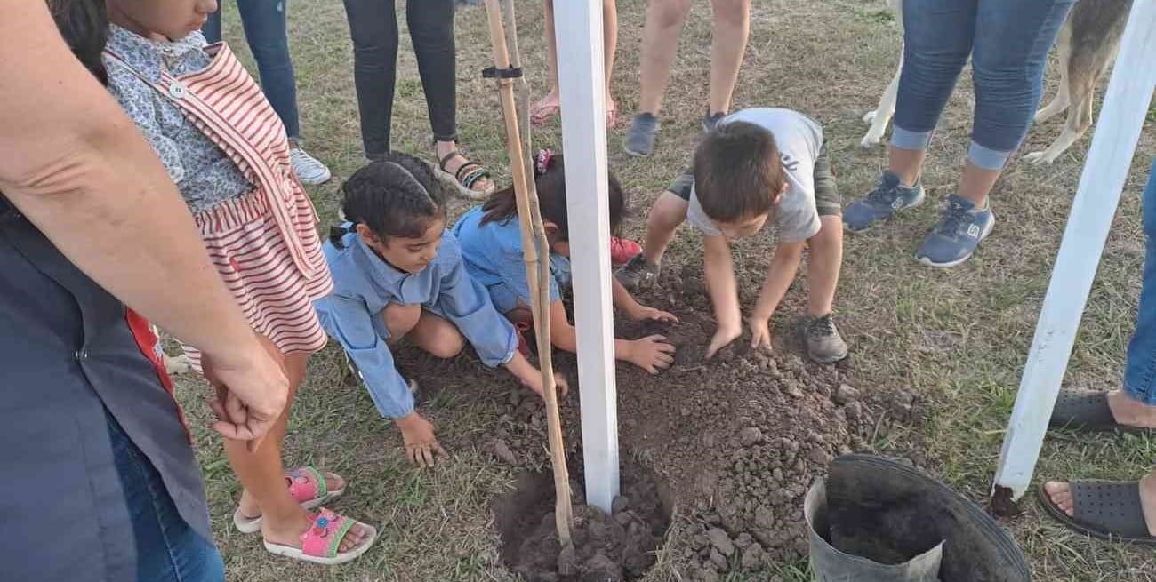 El Municipio suma programas para multiplicar el arbolado en El Trébol