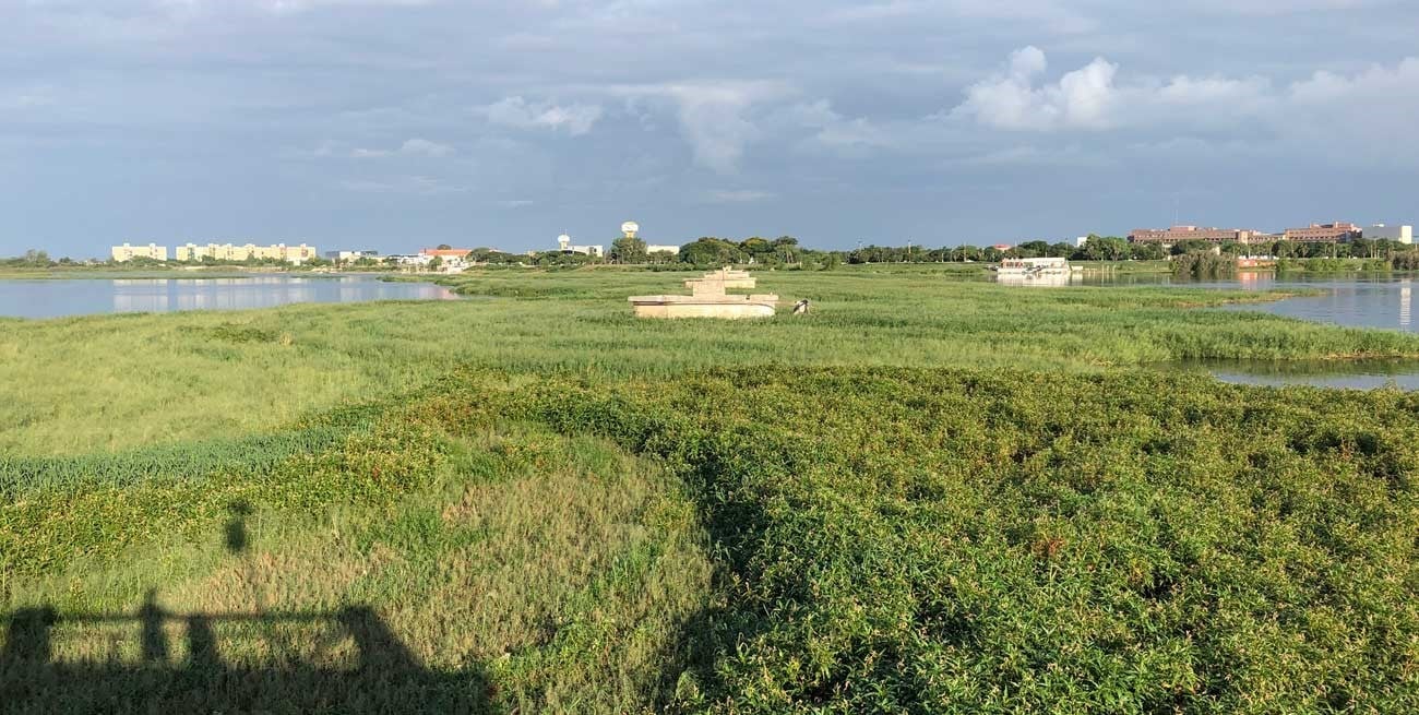 ¿Los embalsados de la Setúbal se "comen" a los pilotes del ex puente del ferrocarril?