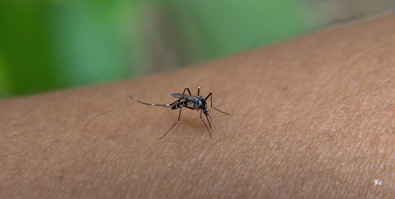 Murió una mujer con diagnóstico positivo de dengue en Paraná