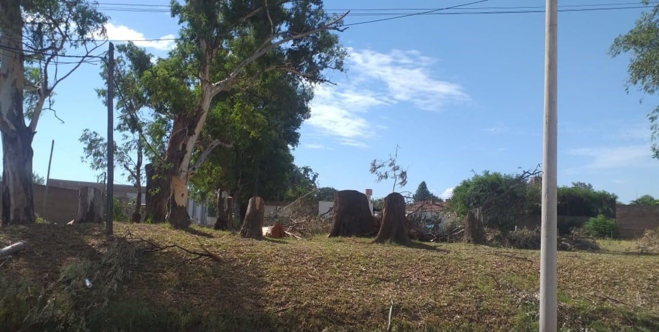 Estafa con terrenos: catarata de denuncias contra el único detenido