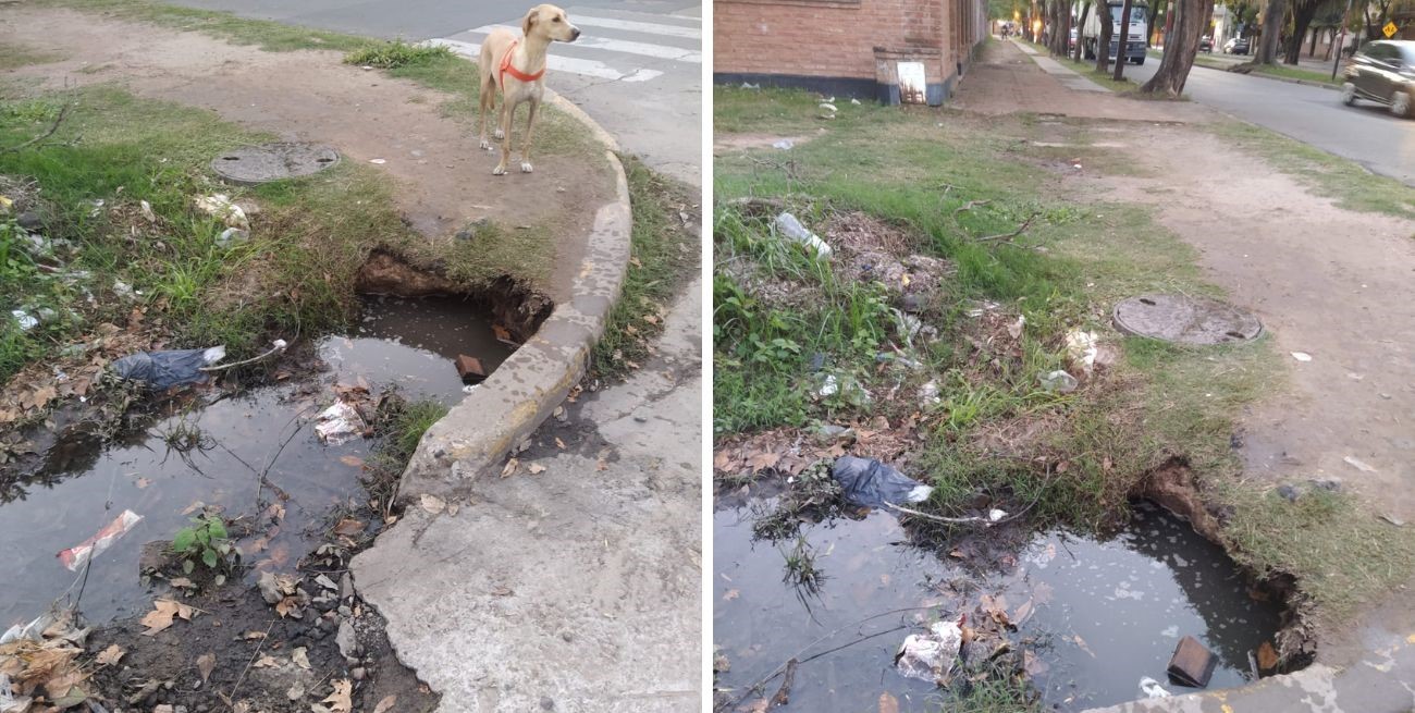 "Me dejó helado": tuvo que rescatar a su perro que cayó a un pozo en plena Av. J.J Paso