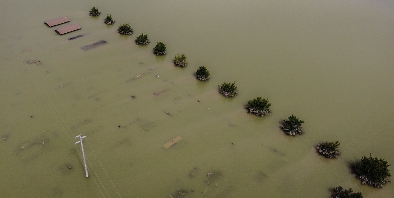 El Papa Francisco se solidarizó con las víctimas de las inundaciones en Italia