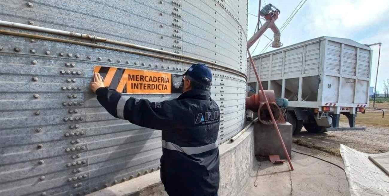 La AFIP incautó 70 toneladas de maíz durante un control en Venado Tuerto