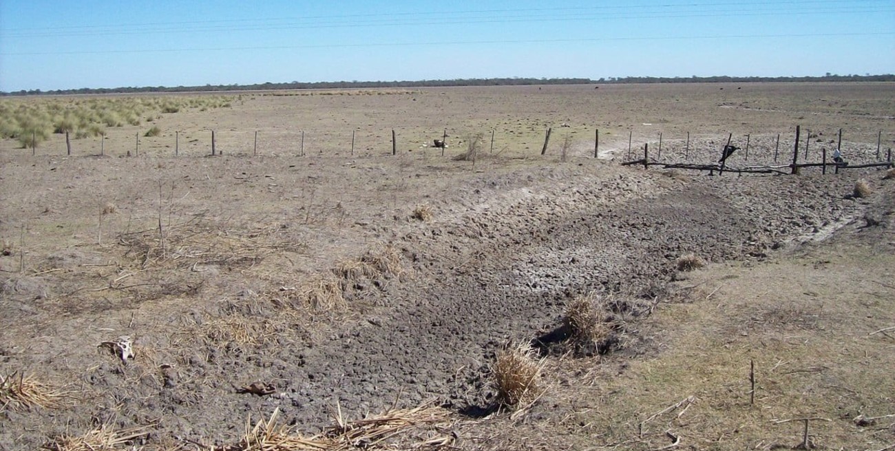 Oficializan la extensión de la emergencia agropecuaria en Santa Fe desde Nación