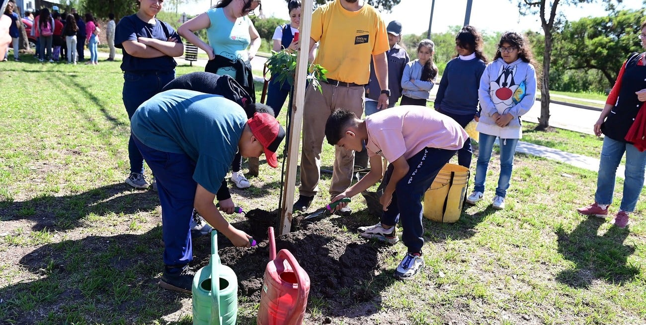 Plantan unos 600 árboles en el norte de la ciudad de Santa Fe