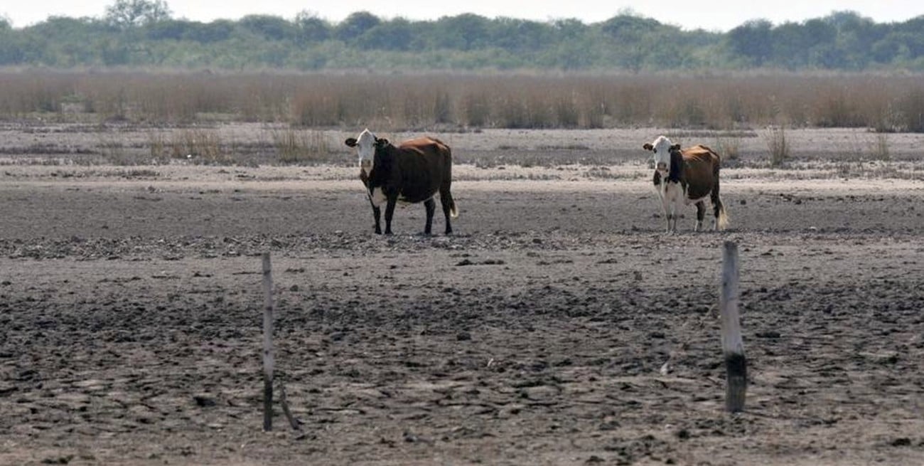 De la sequía a El Niño: climáticamente, 2023 ha sido un año para el olvido