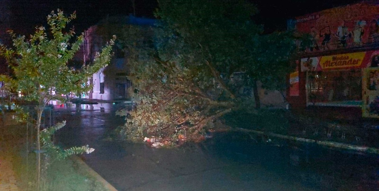 La tormenta pegó fuerte en Sunchales, Ceres y Reconquista: las imágenes del temporal