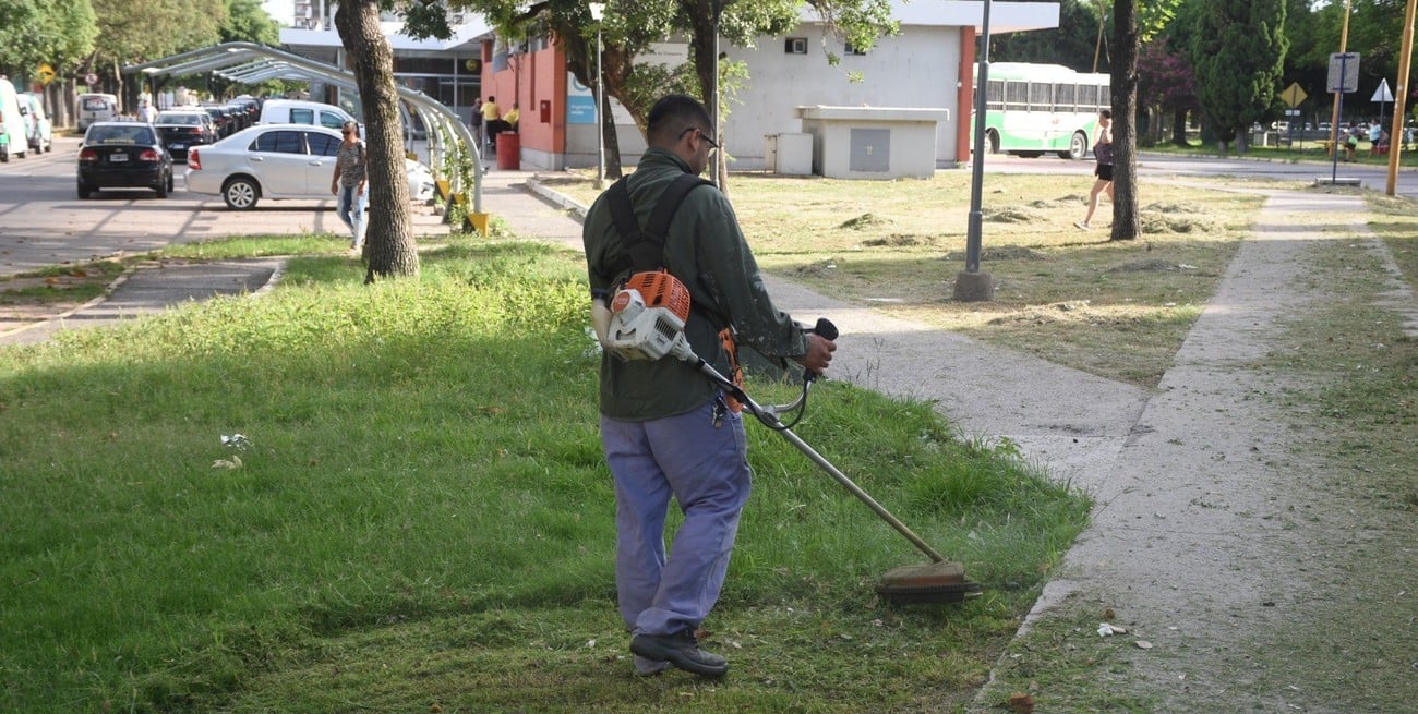 La Municipalidad avanza con el desmalezamiento en espacios públicos