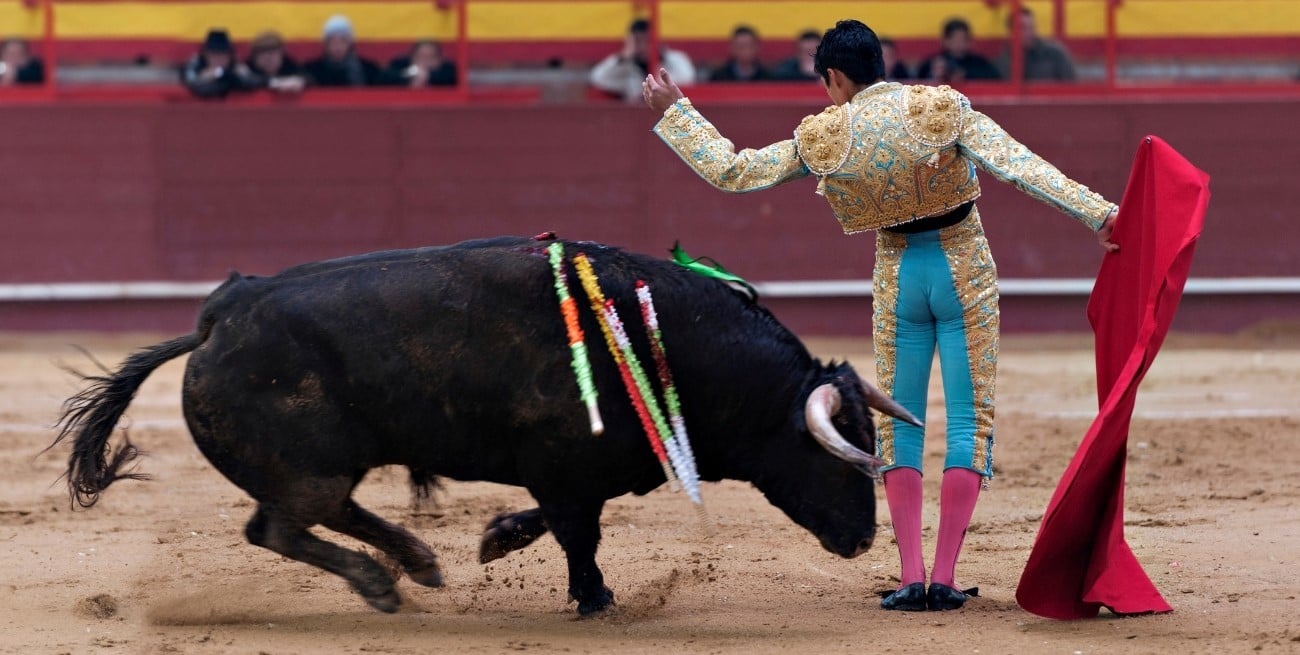 La Corte Suprema de México anuló la prohibición de las corridas de toros   