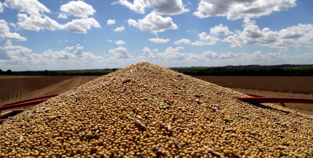 Enero trajo 64% más divisas del agro que el mismo mes de 2023 