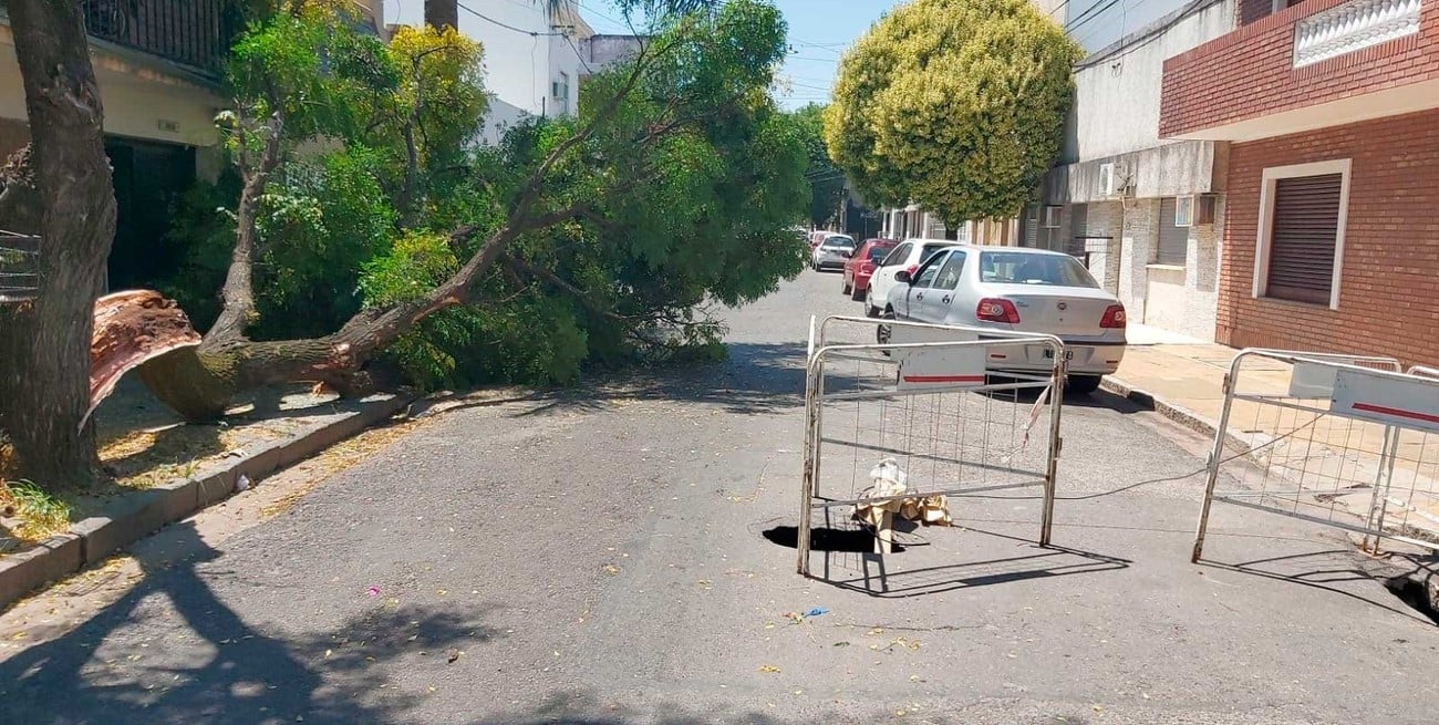 Un camión de la EPE intentó esquivar un corralito de Assa y causó daños en barrio Sur
