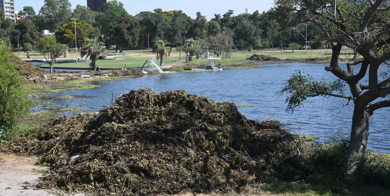 La cosechadora finalizó su trabajo y el lago del Sur quedó despejado de repollitos