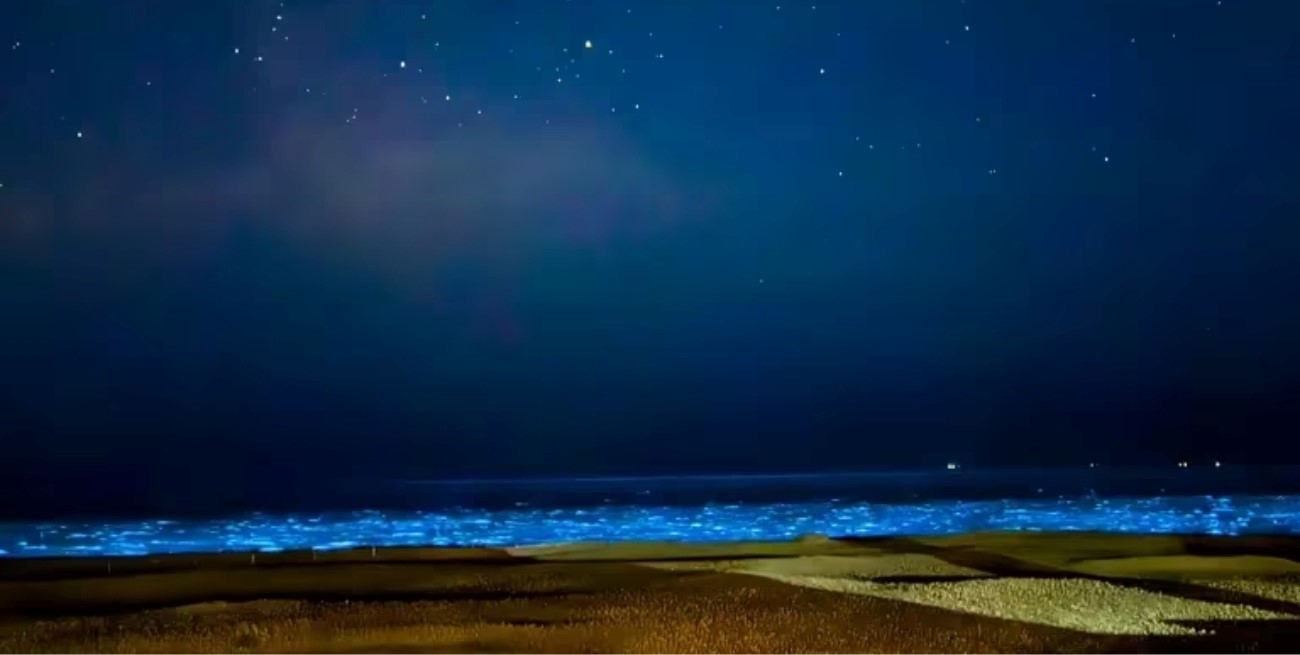 Video: el origen del fenómeno de las olas fluorescentes que cautivan en Uruguay