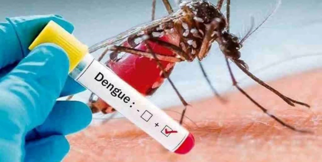 Dengue: hay 80 casos confirmados en el departamento General López