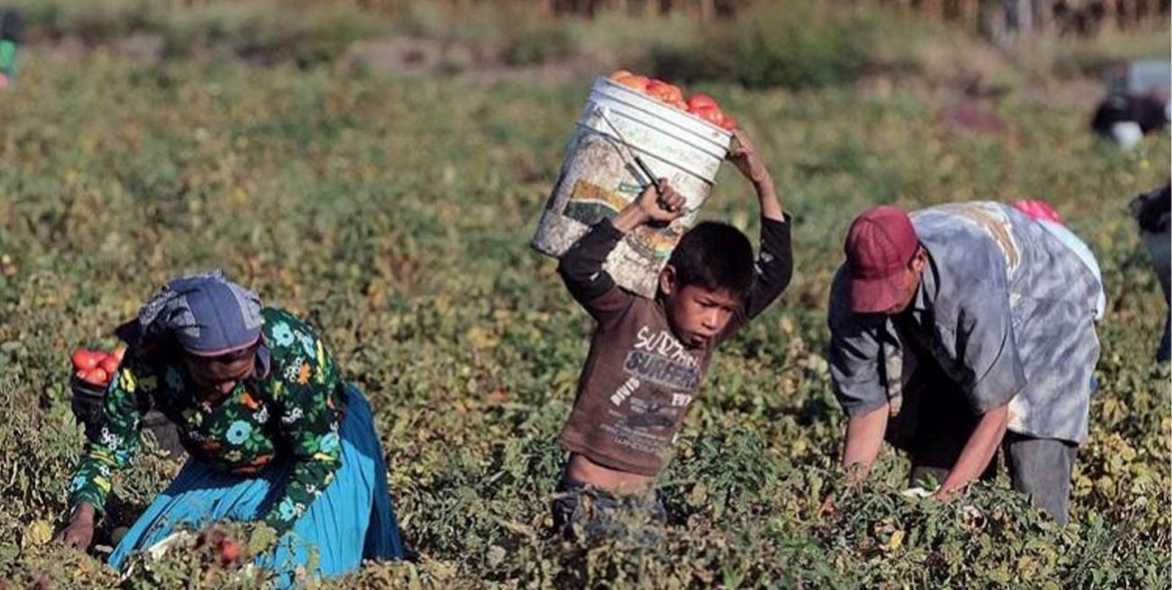 Lucha contra la esclavitud infantil: recordando su origen en el día mundial dedicado a esta causa