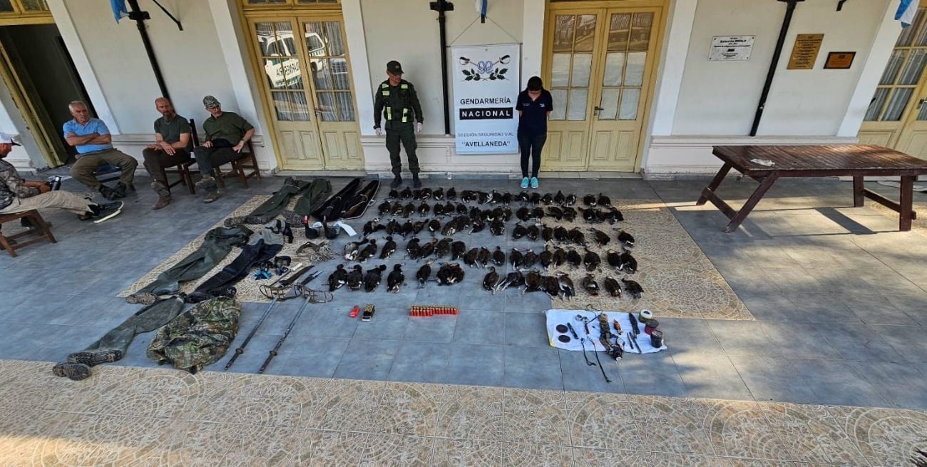 "Cazadores cazados": cinco franceses transportaban 84 patos silvestres en Santa Fe