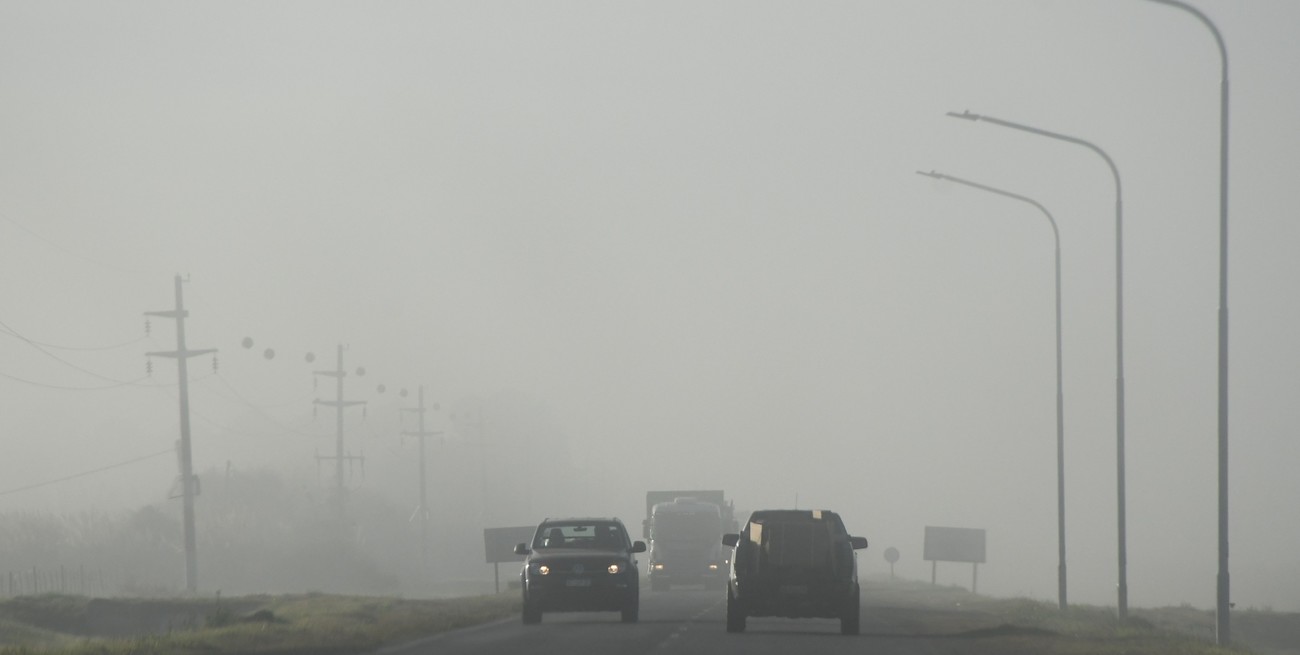 Alerta por niebla en toda la provincia: recomendaciones para conductores
