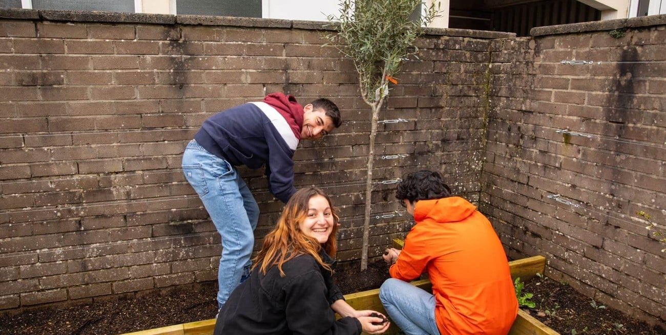 Redes, pasión y diversidad: Scholas contado en primera persona