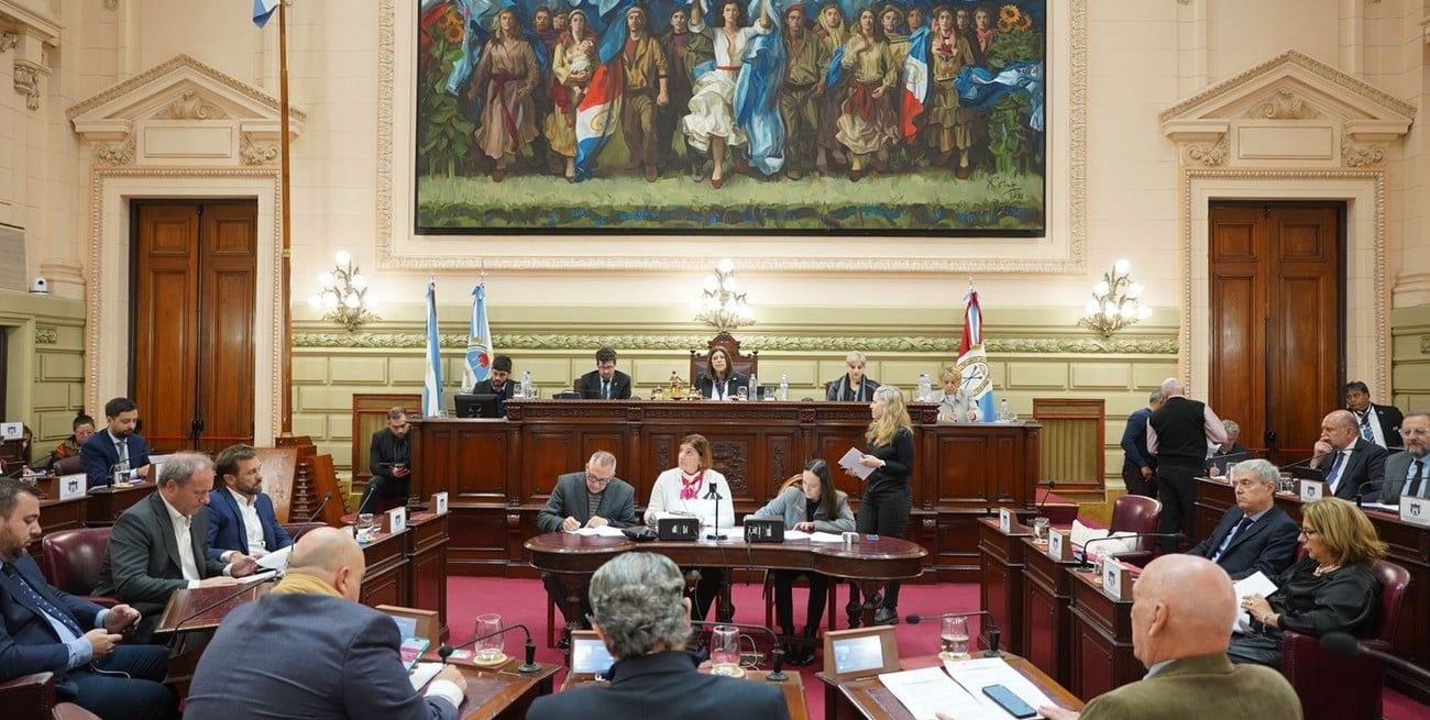 Diputados: plenario de cuatro comisiones en el recinto por la reforma previsional en Santa Fe