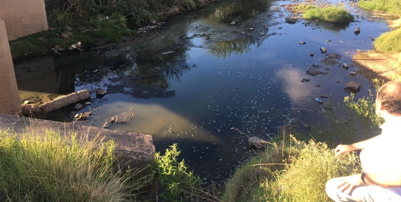 Contaminación en el Ludueña: el Concejo de Rosario busca avanzar con la recuperación ecológica