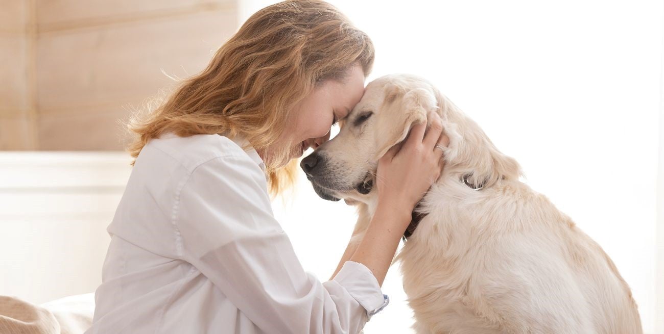 Cómo funcionan la memoria y el recuerdo en las mascotas