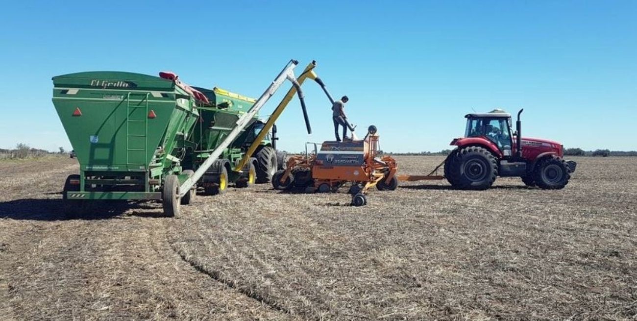 Arrancó la siembra de maíz temprano 