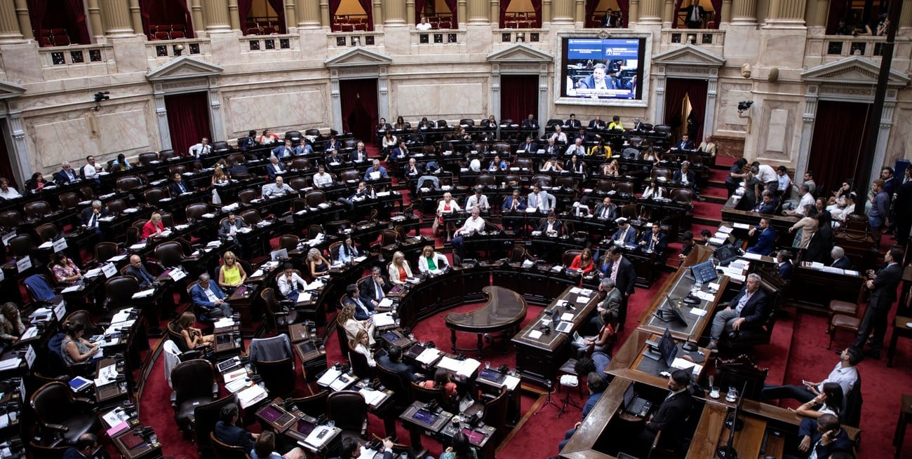 Presupuesto 2025: el turno de debatir los fondos de Niñez y de Turismo en Diputados