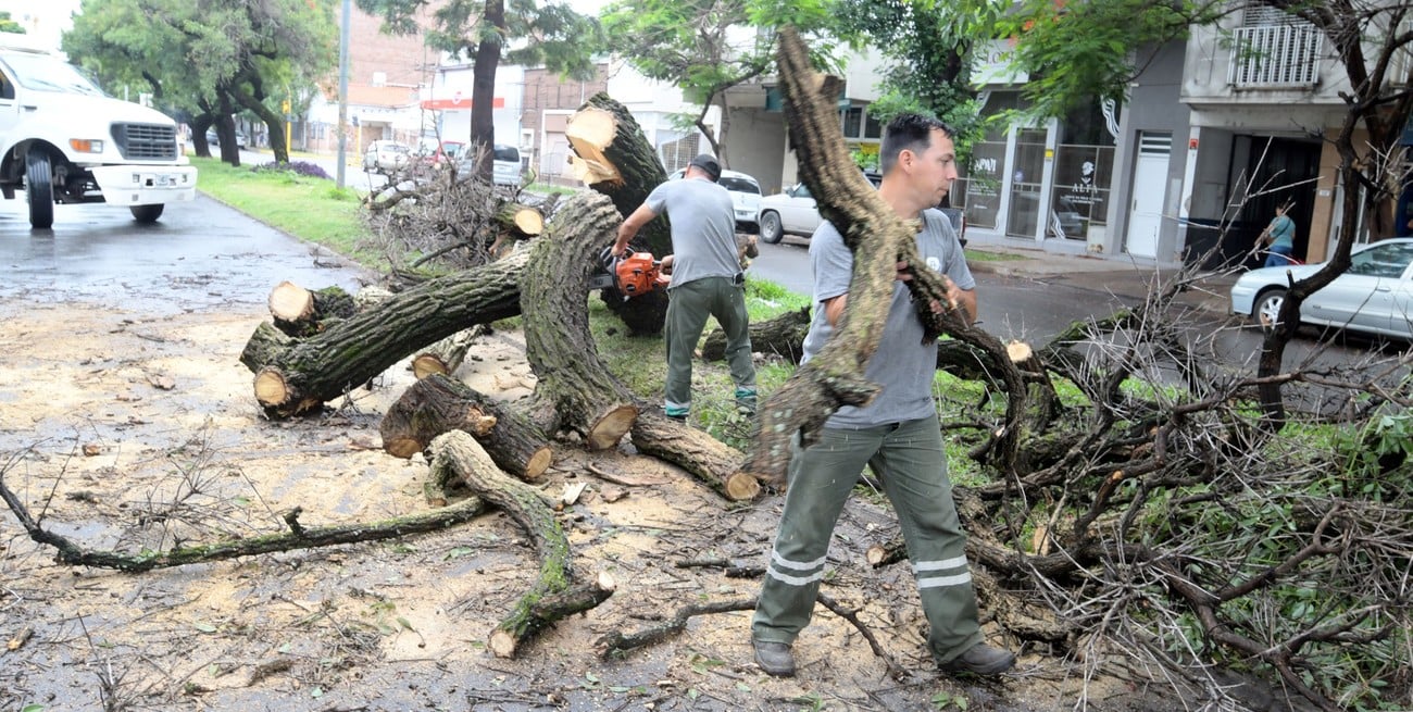 El saldo de la tormenta en Santa Fe: más de 60 calles anegadas y 25 árboles caídos