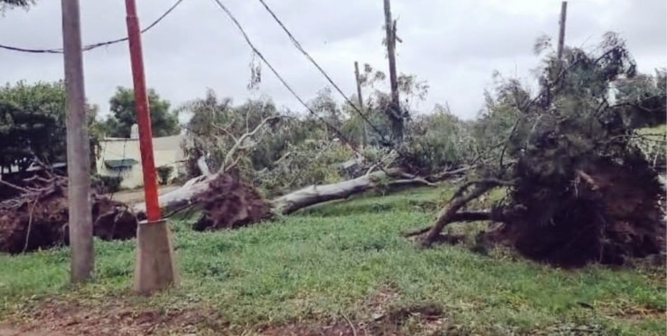 Fuertes vientos ocasionaron daños en Cayastá